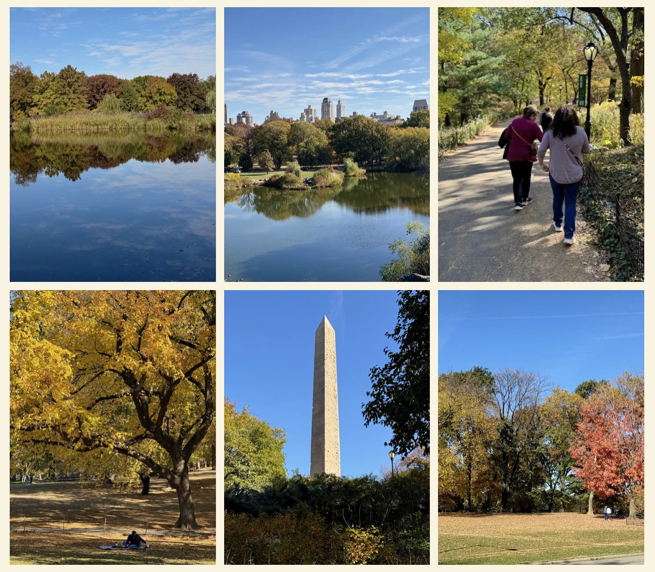 photo collage from our trip