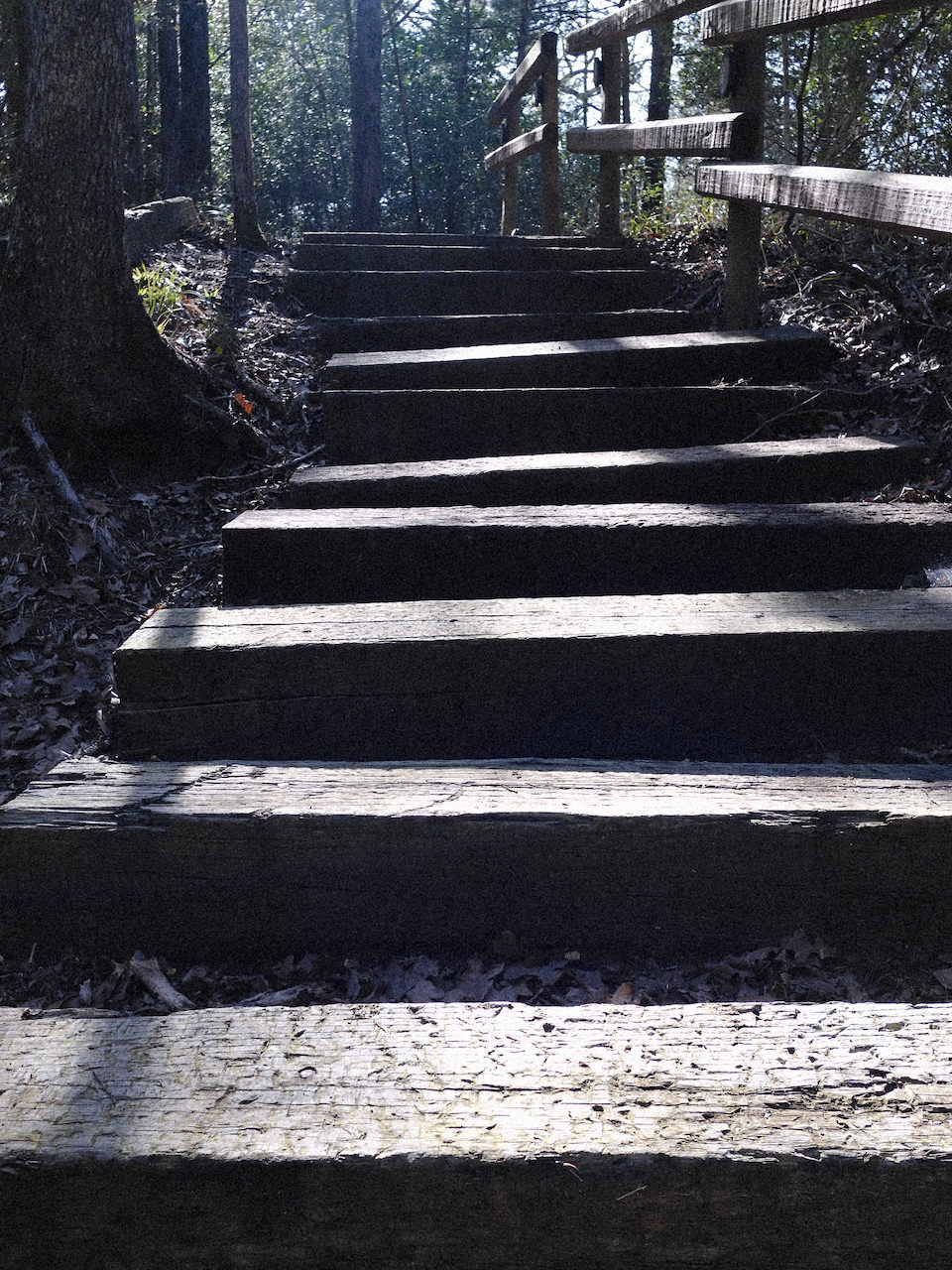 Fuji X-Half Astia 1/250 F4.0 ISO200